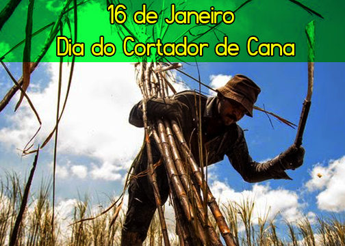 cortador-de-cana